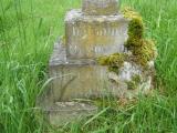 image of grave number 250698